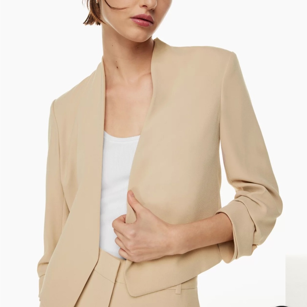 Aritzia Babaton Power Waist Blazer
